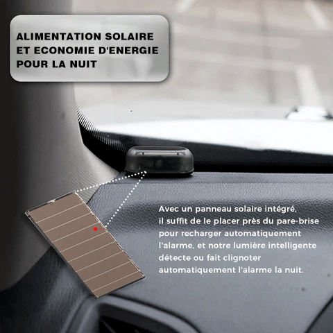 Alarme Antivol à LED Elignotantes pour Voiture