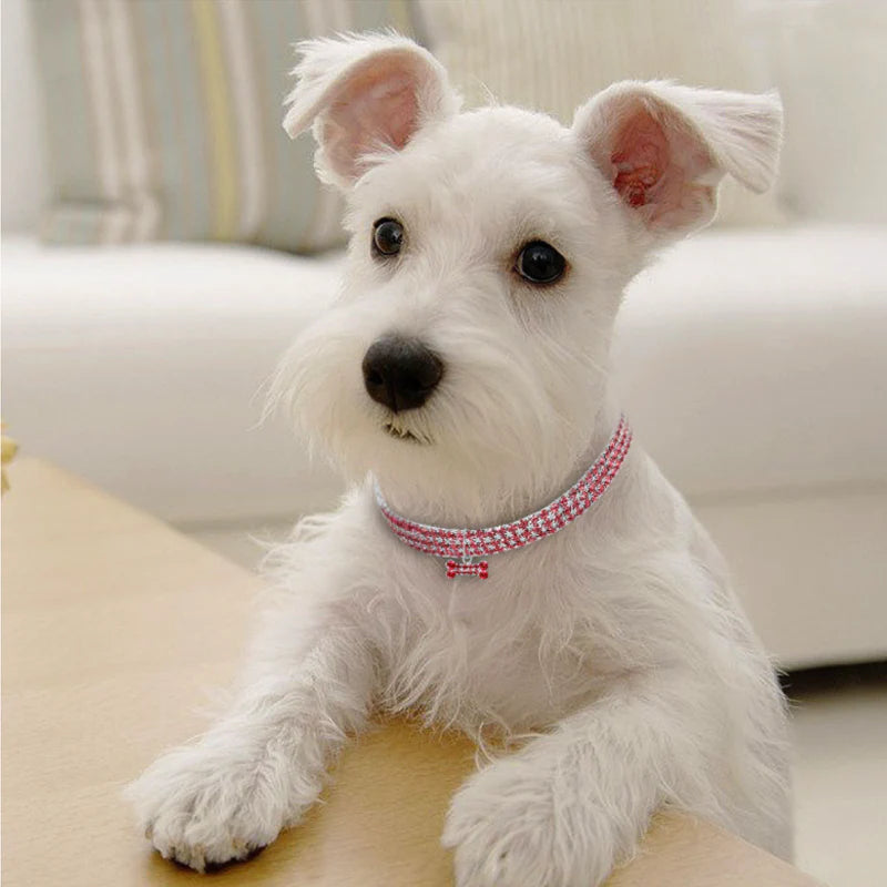 Collier De Chien En Cristal Mignon